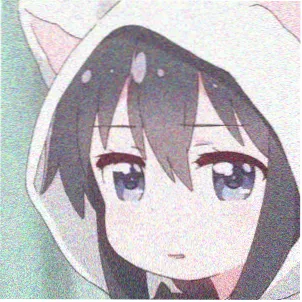 读者账号头像四